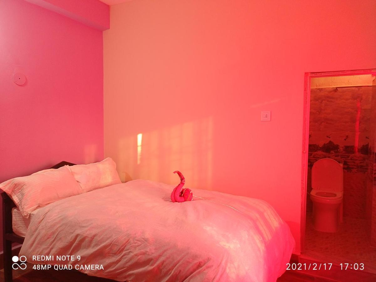 National Park Sauraha- Homely And Peaceful Location With Jungle Safari Arrangements Sauraha