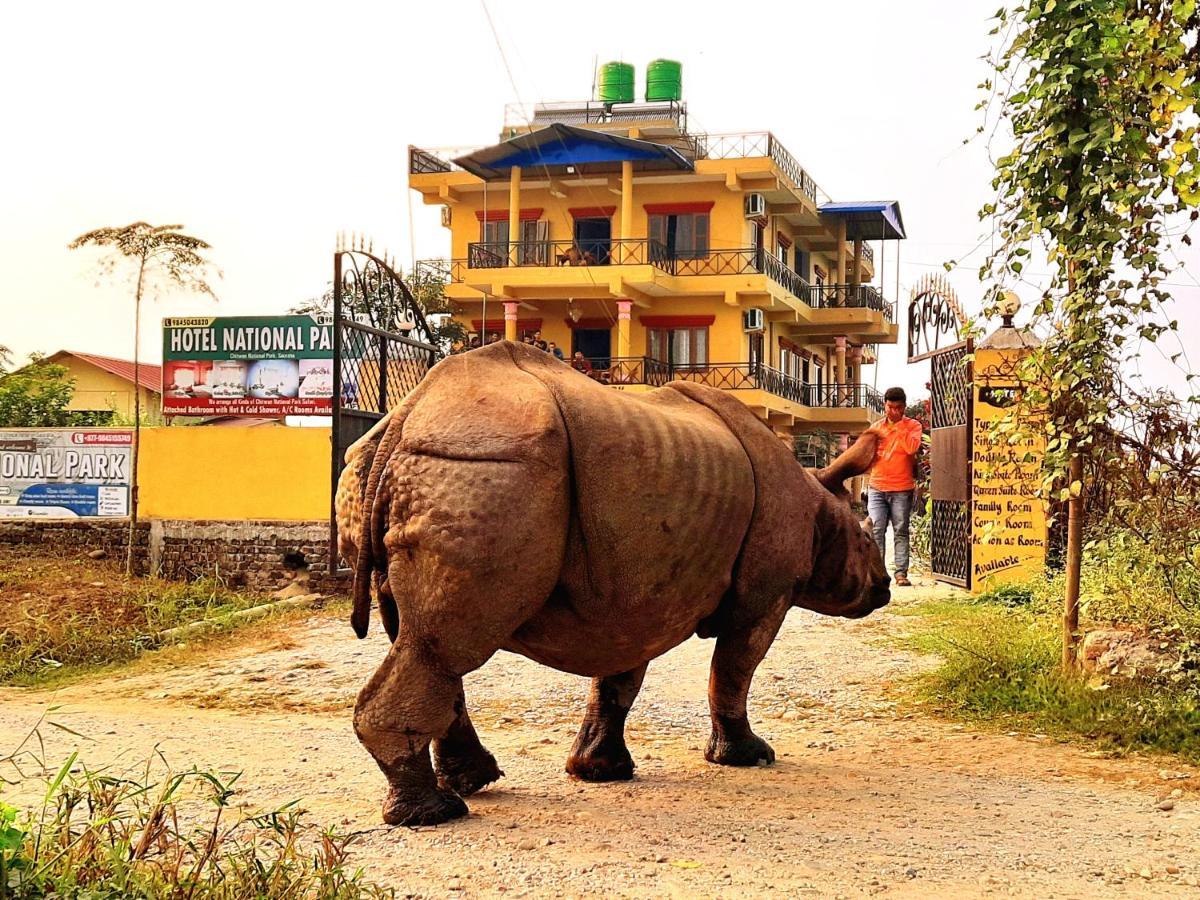 National Park Sauraha- Homely And Peaceful Location With Jungle Safari Arrangements Hotel