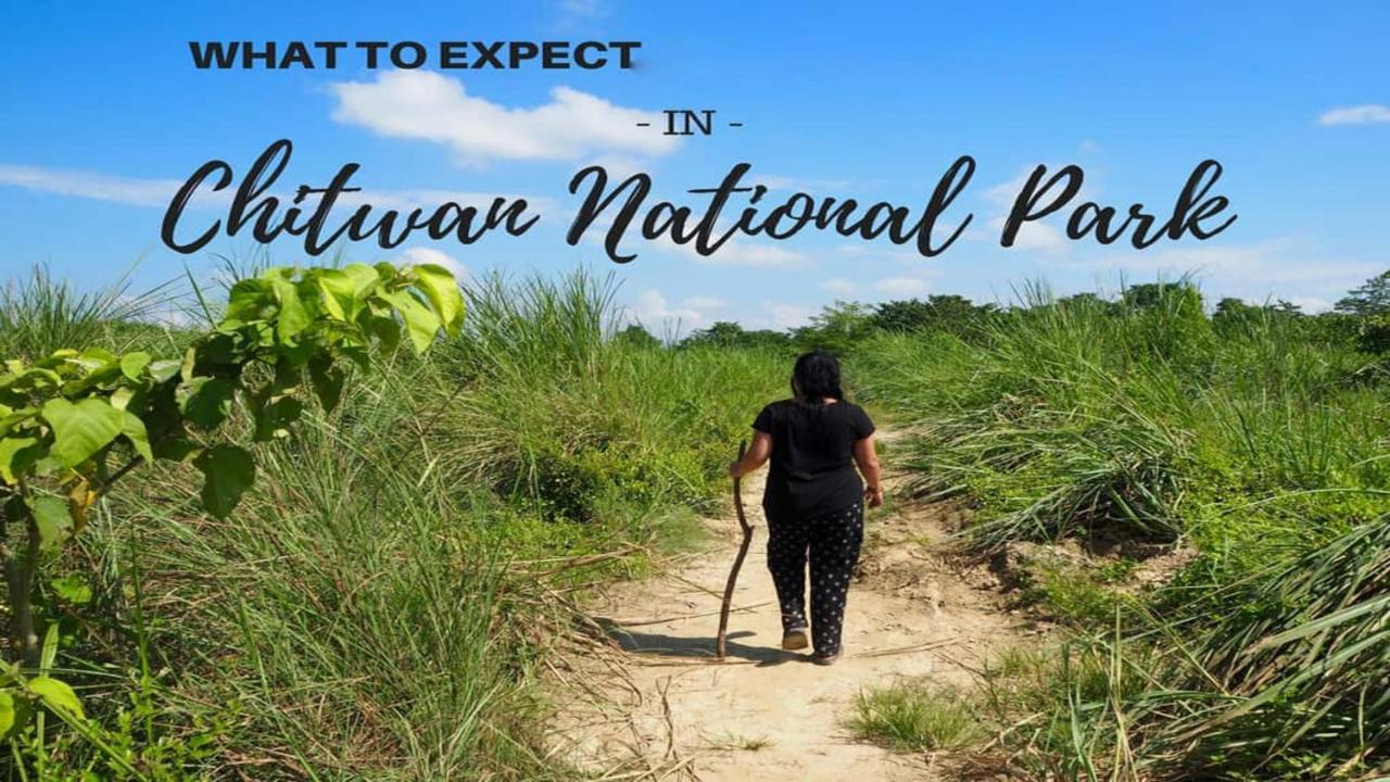 National Park Sauraha- Homely And Peaceful Location With Jungle Safari Arrangements Hotel
