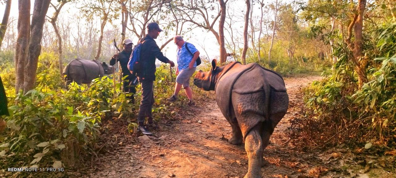 Hotel National Park Sauraha- Homely And Peaceful Location With Jungle Safari Arrangements Sauraha