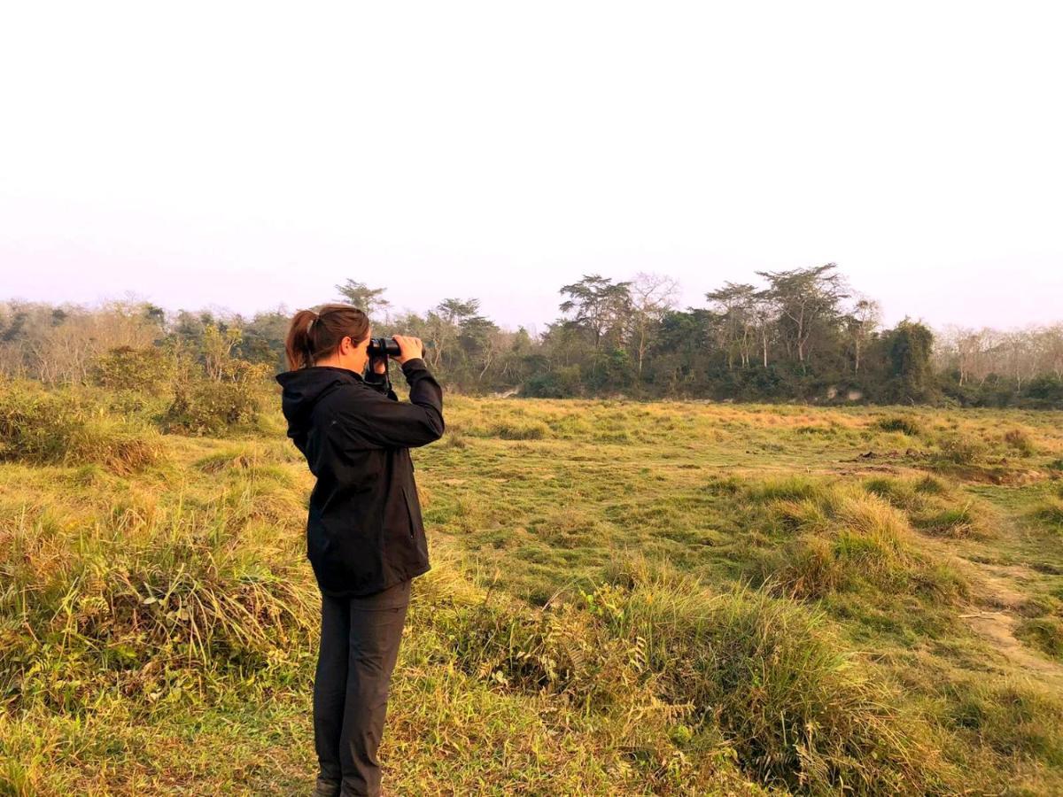 Hotel National Park Sauraha- Homely And Peaceful Location With Jungle Safari Arrangements *