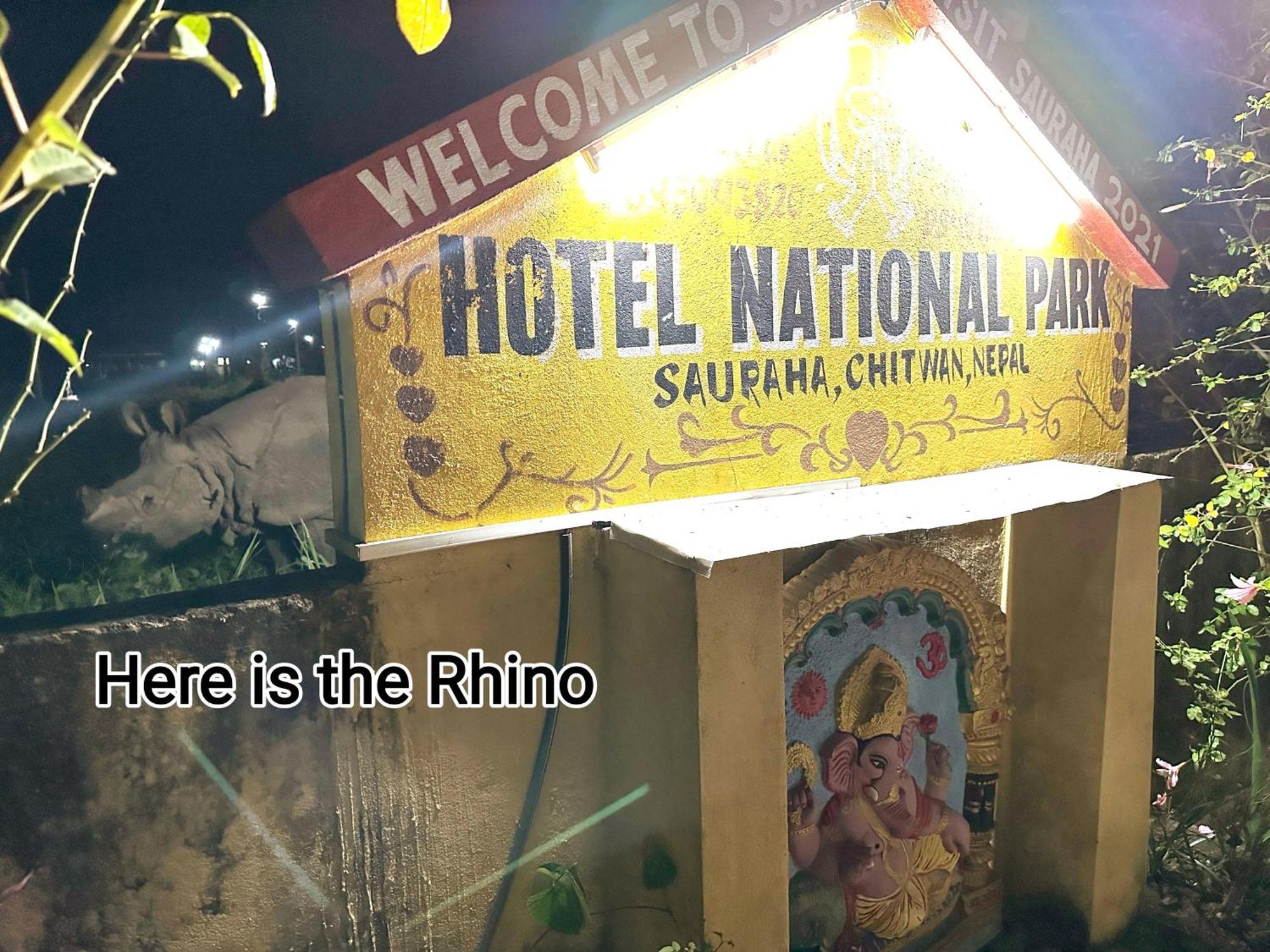 Hotel National Park Sauraha- Homely And Peaceful Location With Jungle Safari Arrangements Sauraha
